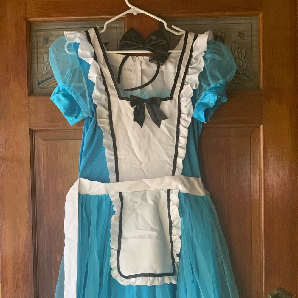 Alice in Wonderland Costume